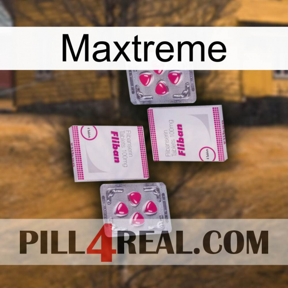 Maxtreme 33